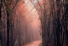 乒乓仁川赛：国乒男单遭遇惨败！陈垣宇0-3出局，一轮游止步32强.