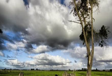 豪门悲喜夜！AC米兰1-2，国米2-1，曼城2-1逆转进半决赛，巴萨4-1.