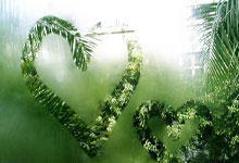 3家俱乐部未获得准入资格！中国足协回应人民网.