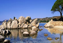 [欧冠]1／8决赛次回合：马德里竞技VS国际米兰.